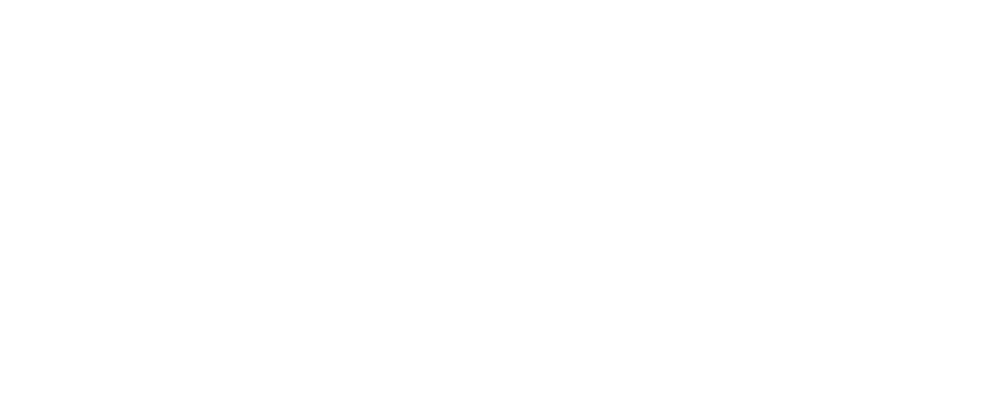 NOMAD 12 Logo